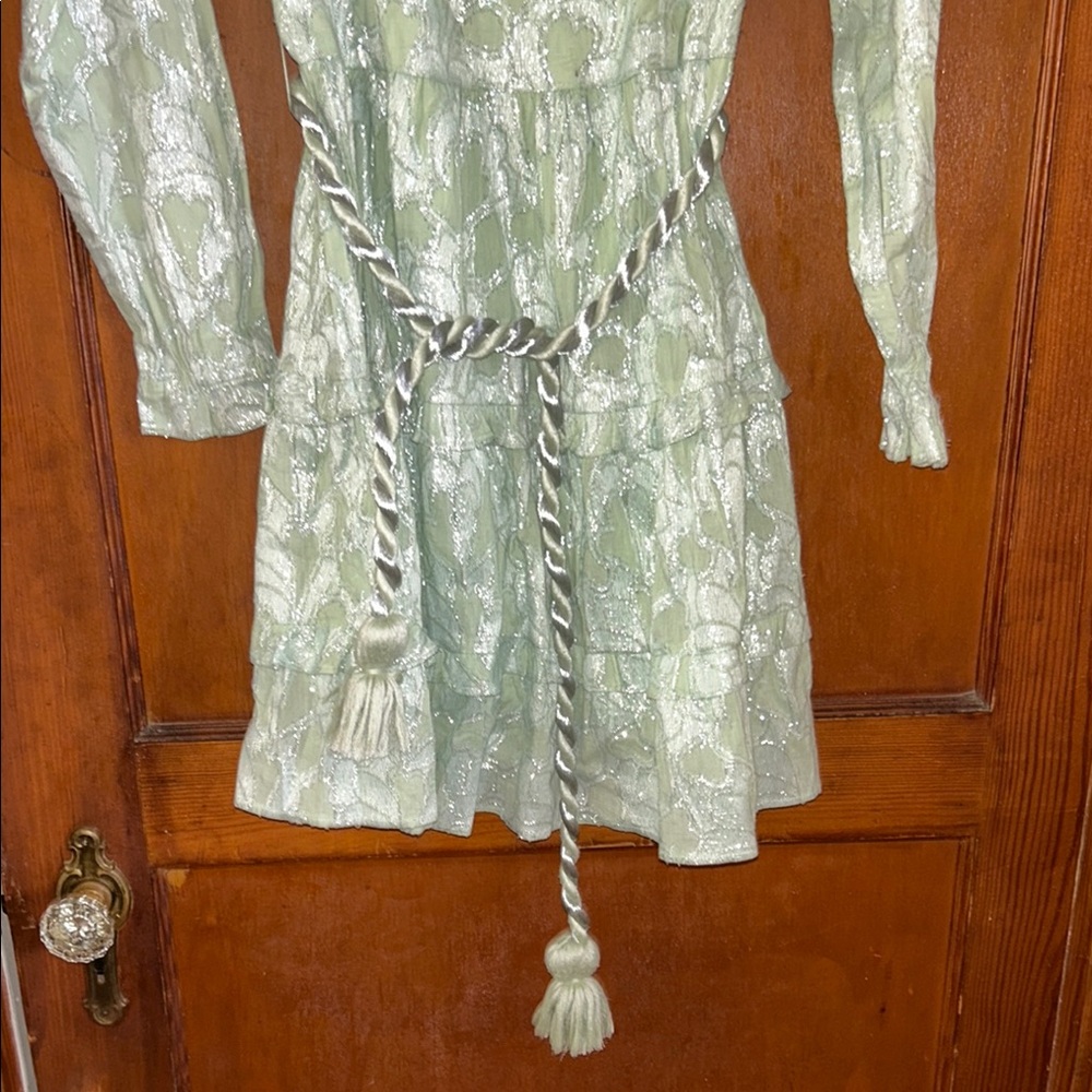 NWT Roller Rabbit Green & Silver Dress with belt - size Medium - Picture 6 of 9
